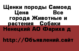 Щенки породы Самоед › Цена ­ 20 000 - Все города Животные и растения » Собаки   . Ненецкий АО,Фариха д.